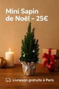 Mini sapin noel